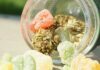 Benefits Of Smoking CBD Buds Over CBD Hash CBD Oils