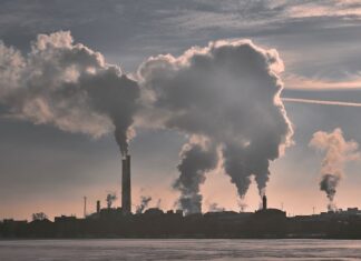 Life can be Cut Short by Two Years Due to Pollution, Experts Suggest Pollution
