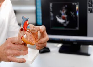 How to Choose the Right Cardiologist for You Cardiologist